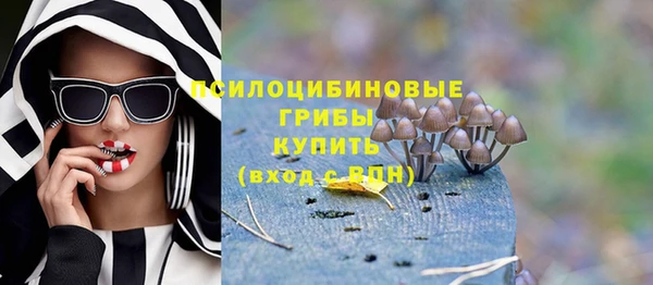 бошки Гусь-Хрустальный
